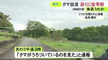 周辺には住宅街や観光ホテル…岐阜県関市の長良川近くで『クマ』の目撃情報 市がわなを設置するなど警戒
