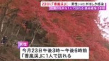 発症直前まで紅葉の名所に…10代男性会社員の『はしか』感染が判明 愛知県岡崎市在住で25日に病院を受診