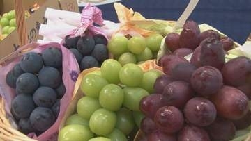 首都圏で人気の高いブドウやリンゴ　県とJA全農長野が都内の卸売市場でトップセールス　阿部知事「しっかりと発信していくことが大変重要」