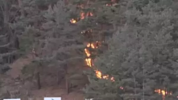 諏訪市の山火事　発生から16時間経ってようやく鎮火　県や関係団体が林野火災の防止に向け共同宣言　知事「火の取り扱いには最大限の注意を」【長野】