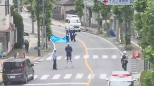 大型トレーラー運転の群馬県の会社員の男を逮捕　容疑を否認　岡谷市死亡ひき逃げ事件　山梨県で身柄を確保【長野】