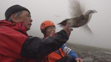 【特集】密着！春のライチョウ探せ　中央アルプス過酷な追跡調査に同行　絶滅から復活へ　カメラが捉えた！ライチョウの卵　高山で繋ぐ命【長野】