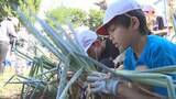 「小学生が信州の伝統野菜「松本一本ねぎ」の植え替えを体験　植え替えることで柔らかく甘いネギに…【長野・松本市】」の画像1