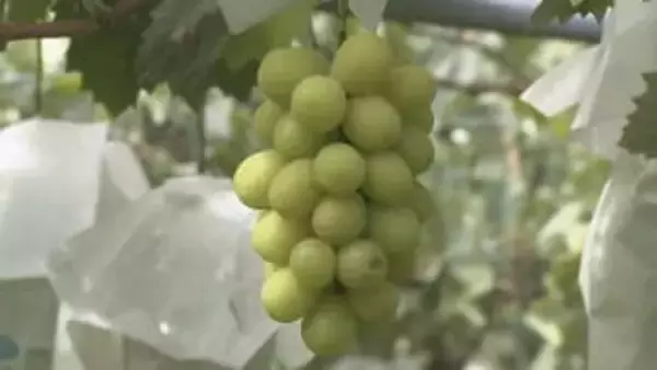 【須坂市産地偽装問題】三木須坂市長に対する不信任決議案　反対多数で否決　三木市長「反省してしっかりやっていかなければいけない」