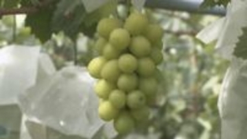 【須坂市産地偽装問題】三木須坂市長に対する不信任決議案　反対多数で否決　三木市長「否決されたことは大変ありがたく思っている」