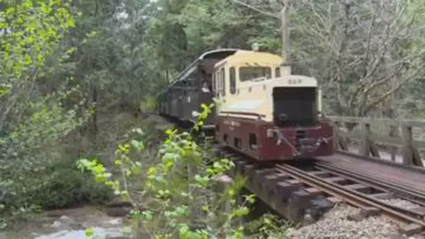 森林浴の発祥の地　日本三大美林の中を走る森林鉄道　 渓流のせせらぎと絶景　観光客を魅了　赤沢自然休養林【長野・上松町】