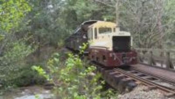 ★森林浴の発祥の地　日本三大美林の中を走る森林鉄道　 渓流のせせらぎと絶景　観光客を魅了　赤沢自然休養林【長野・上松町】