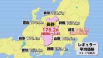 レギュラーガソリン176.2円　2年8か月ぶりの安値水準　来週以降も値下がりが続くと予想【長野】