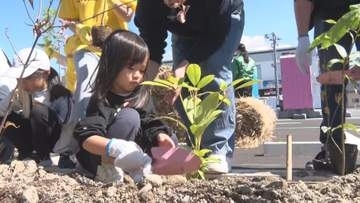 新店舗を緑豊かな環境に　イオンスタイル諏訪店で植樹祭　地域住民など300人以上が参加　シラカシやカンツバキなど約3200本を店舗周辺に植える　イオンスタイル諏訪店は10月21日にオープン【長野・下諏訪町】