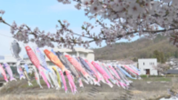 「サクラと鯉のぼり」上田の最高気温27.6度！6月下旬並み　県内20地点で今年一番の最高気温【長野】