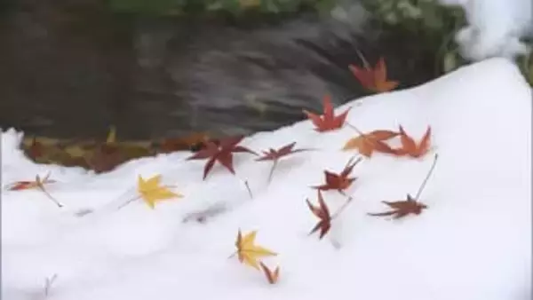 「まだ冬の準備できていない」野沢温泉村では朝から雪かき　 信濃町 長野市などで「初雪」【長野】