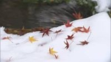 「まだ冬の準備できていない」野沢温泉村では朝から雪かき　 信濃町 長野市などで「初雪」【長野】