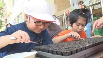 「宇宙旅したレタスの種」が油井宇宙飛行士の故郷へ！子供たちが植える…9月下旬に収穫予定【長野・川上村】