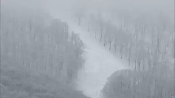 雪崩の恐怖　明確な予兆ない「全層雪崩」　発生しやすいケースとは…