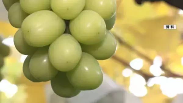 【ふるさと納税・産地偽装問題】須坂市が「日本グルメ市場」に2億5400万円余の損害賠償などを求める訴訟　業者側「争う姿勢示す」口頭弁論【長野】