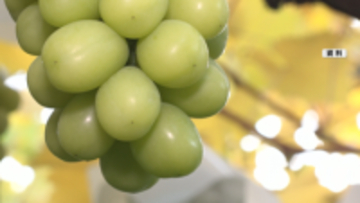 【ふるさと納税・産地偽装問題】須坂市が「日本グルメ市場」に2億5400万円余の損害賠償などを求める訴訟　業者側「争う姿勢示す」口頭弁論【長野】