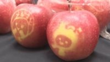 「地域の良さを知ってほしい」上田市の児童がリンゴ販売【長野】