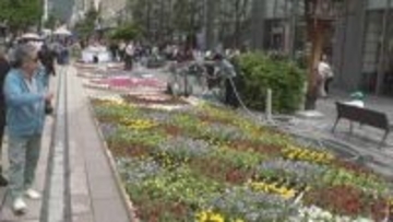 ゴールデンウイーク恒例の善光寺花回廊始まる　長野市の中心街を花で彩る　25回目の節目のテーマは「つなぐ未来」【長野】