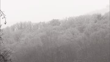 白馬村は雪の朝　午後から19日かけては平地でも積雪か　19日正午まで予想降雪量　北部20センチ　中部10センチ【長野】