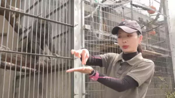 【特集】「“最強の飼育員”になりたい」25歳女性飼育員の奮闘記！　飯田市立動物園【長野】