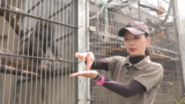 【特集】「“最強の飼育員”になりたい」25歳女性飼育員の奮闘記！　飯田市立動物園【長野】