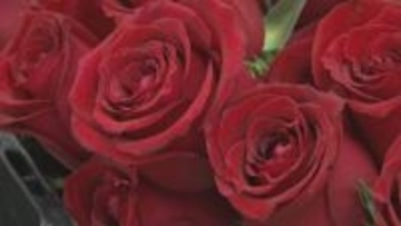 5月10日は「母の日」花の出荷ピーク　今年の傾向は？物価高・原油高の影響大きく【長野】