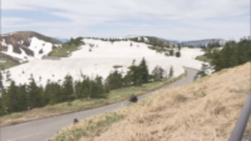 志賀高原にもようやく春　志賀草津高原ルート開通　人気スポット雪の回廊　今年の雪の壁は最大３メートル　暖冬の影響で例年より２メートル低く【長野】