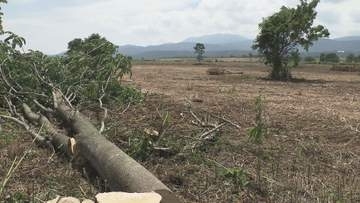 クマの隠れる場所なくせ！茂みは絶好の通り道…飯山市の千曲川河川敷で草刈り【長野】