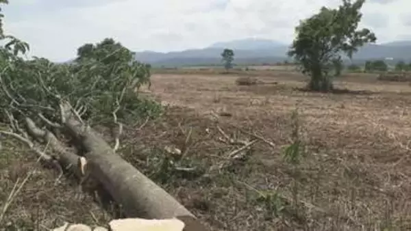 クマの隠れる場所なくせ！茂みは絶好の通り道…飯山市の千曲川河川敷で草刈り【長野】