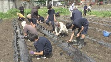 「大町の人気者に！」「全国に広めたい！」年間3000個売れる人気商品　中学生がトウガラシの苗2800本植える　10月に収穫して人気のペッパーソースに【長野】