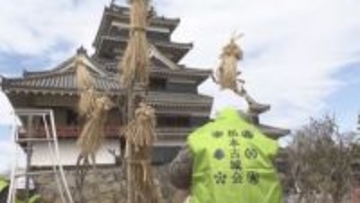 松本城本丸庭園で冬囲いの取り外し　松本の最高気温は11.2度と平年並み