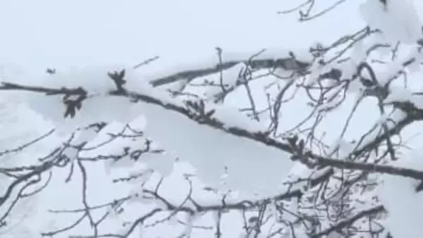 軽井沢9センチ　上田市菅平7センチの積雪　大北地域や乗鞍上高地地域の積雪の多い傾斜地は雪崩に注意を【長野】