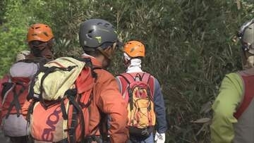 長野県内で相次ぐネマガリダケ採りの遭難　地面をはうように探すため遭難の危険が　複数で入山後に単独行動で遭難のケースが目立つ【長野】