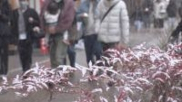 長野県北部に大雪警報　12日明け方にかけて大雪や路面凍結による交通の乱れに警戒を