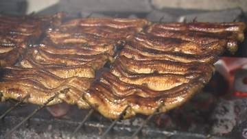 土用の丑の日前に…食べてスタミナ補給　ウナギ専門店大にぎわい　今年は稚魚が豊漁　価格は…？【長野】
