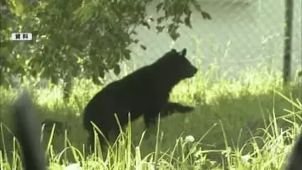 中野市・民家敷地内でクマ１頭目撃　体長50センチから80センチくらい　人身被害なし　発見できず　近くには小学校も　警戒続く【長野】