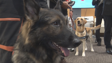 災害発生時に迅速な人命救助へ救助犬出動　NPO法人救助犬訓練士協会と県が協定締結【長野】