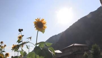 飯田市南信濃で39.4度　25日の県内は9地点で猛暑日に　26日も引き続き熱中症対策の徹底を【長野】
