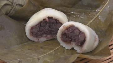 ふるさとを思い出して食べてほしい…端午の節句で祝う「朴葉巻き」作りピーク　木曽伝統の初夏の味【長野・木曽町】