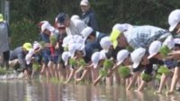 「ぬるぬるして楽しかった」　松本市の児童が田植えに挑戦　ぬかるむ田んぼでロープの目印に沿って自分の手で植える　【長野】