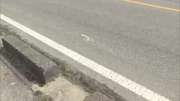 松本市の63歳会社員の男をひき逃げの疑いで逮捕　国道で車道の左端を自転車で走行していた女性（24）が車にはねられ大けが　車は救護せず走り去る【長野・大町市】