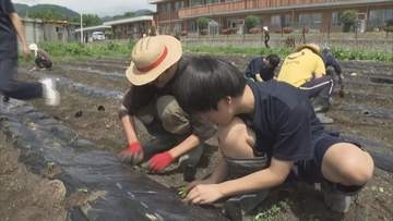年間3000個売れる人気商品！オリジナルのペッパーソースで地域おこし！中学生がトウガラシの苗植え【長野・大町市】