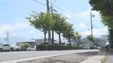 「【速報】男子中学生が大けが　ひき逃げの疑いで男(68)を逮捕　男は容疑を否認　松本市の市道で自転車の中学生にぶつかった疑い【長野・松本市】」の画像1