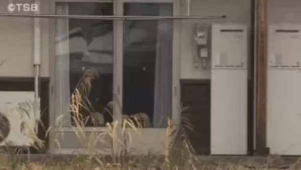 元所長の弟も逮捕　元施設長の女を再逮捕　 ２人は共謀してサービス付き高齢者住宅に入居の70代男性から240万円をだまし取った疑い　余罪あるとみて捜査　認否明らかにせず【長野・飯山市】