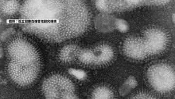 駒ヶ根市内の小学校でインフルエンザの集団感染　県内で今季初の確認　昨季より1日早い　学校は31日から1クラスが学級閉鎖【長野】