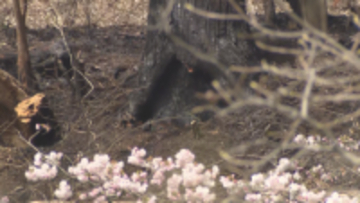 飯山市で住宅敷地内の下草焼く火事　焼け跡から男性の遺体　住人の男性と連絡取れず【長野】