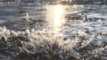 厳しい冷え込み　県内全ての地点で氷点下　28地点で今季一番の寒さ　 12月上旬から下旬並み　菅平は氷点下8.9度【長野】