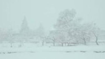 県内は25日昼すぎにかけて北部中心に大雪予想　強い冬型の気圧配置の影響　大雪や路面の凍結による交通障害に警戒【長野】