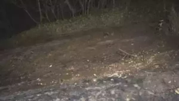 伊那市で雑木林や下草を焼く火事   焼け跡から男性の遺体  伊那北高校から北におよそ300メートルの雑木林【長野】