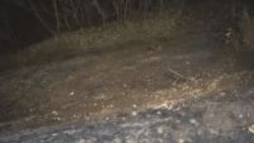 伊那市で雑木林や下草を焼く火事   焼け跡から男性の遺体  伊那北高校から北におよそ300メートルの雑木林【長野】